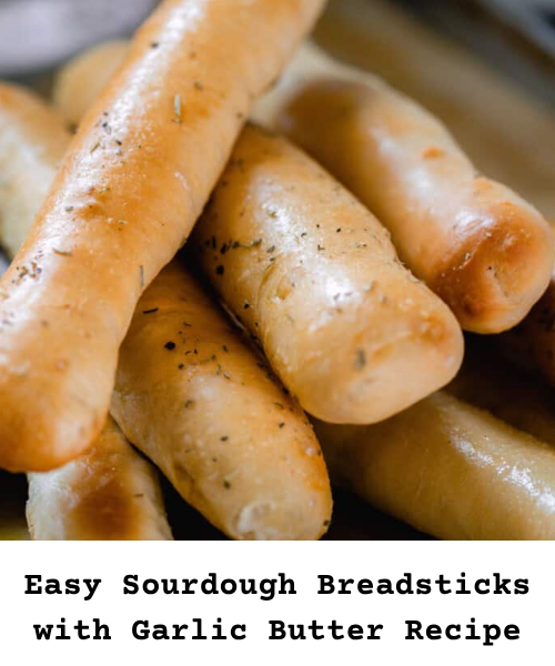 https://bakingstarter.com/easy-sourdough-breadsticks-with-garlic-butter-recipe/