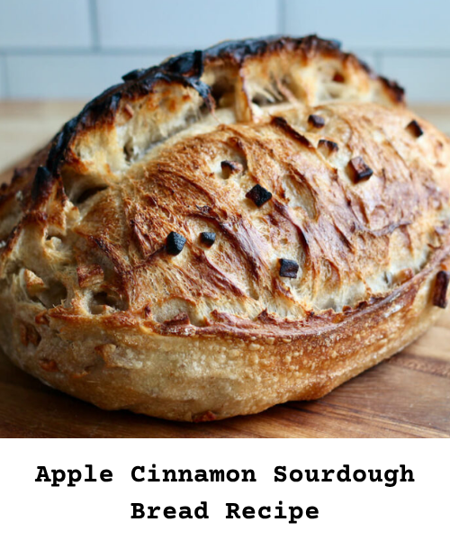https://bakingstarter.com/apple-cinnamon-sourdough-bread-recipe/