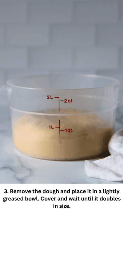 

Sourdough Discard Burger Buns