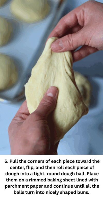 

Sourdough Discard Burger Buns