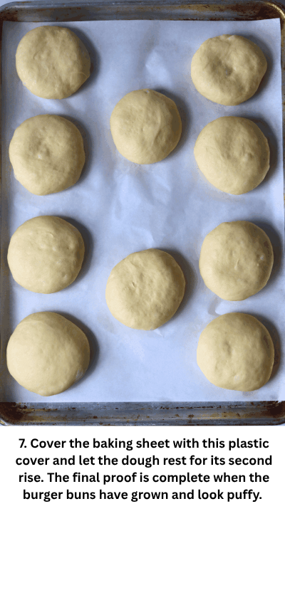 

Sourdough Discard Burger Buns