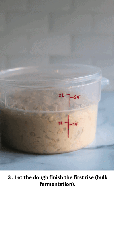 How to Make Honey Oat Sourdough Bread: Easy Homemade Bread Recipe