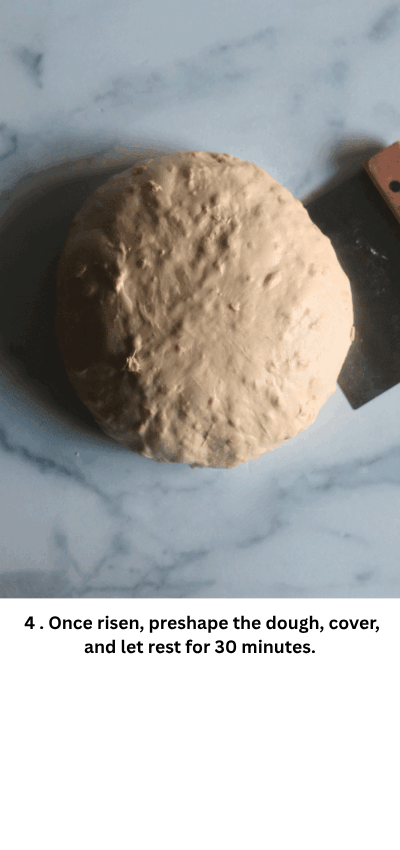How to Make Honey Oat Sourdough Bread: Easy Homemade Bread Recipe