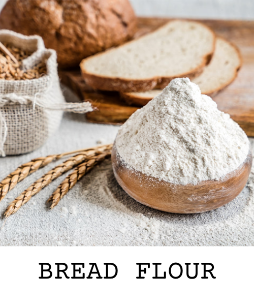 Bread Flour 