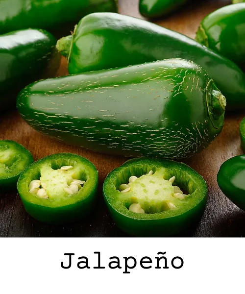 JALAPENO