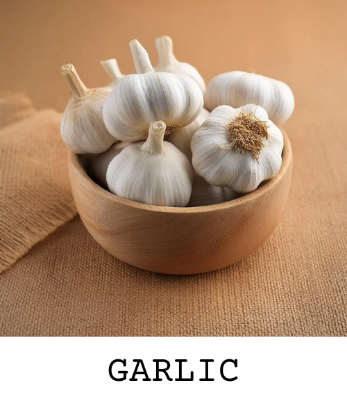 garlic