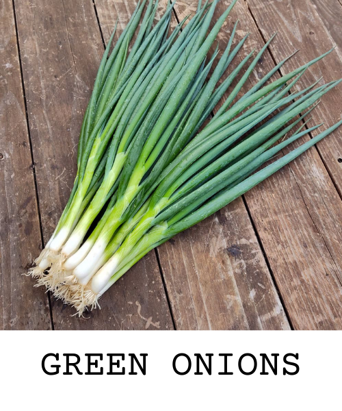 green onions