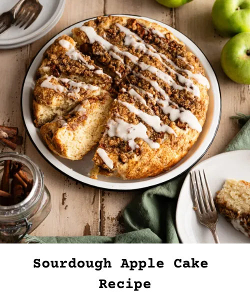 https://bakingstarter.com/sourdough-apple-cake-recipe/