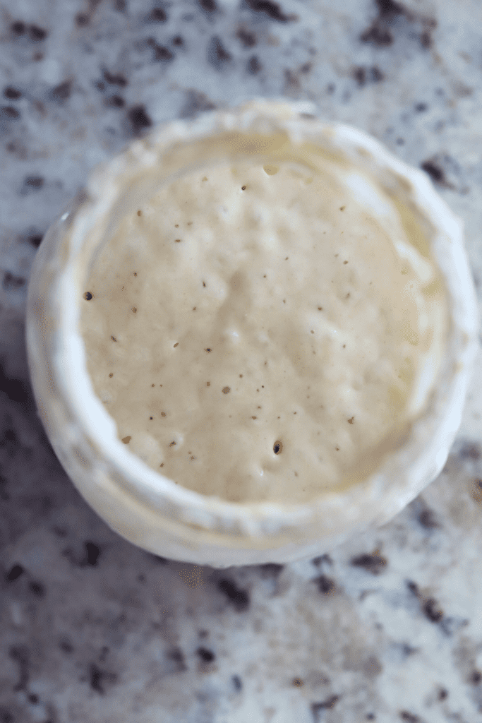 Sourdough Starter