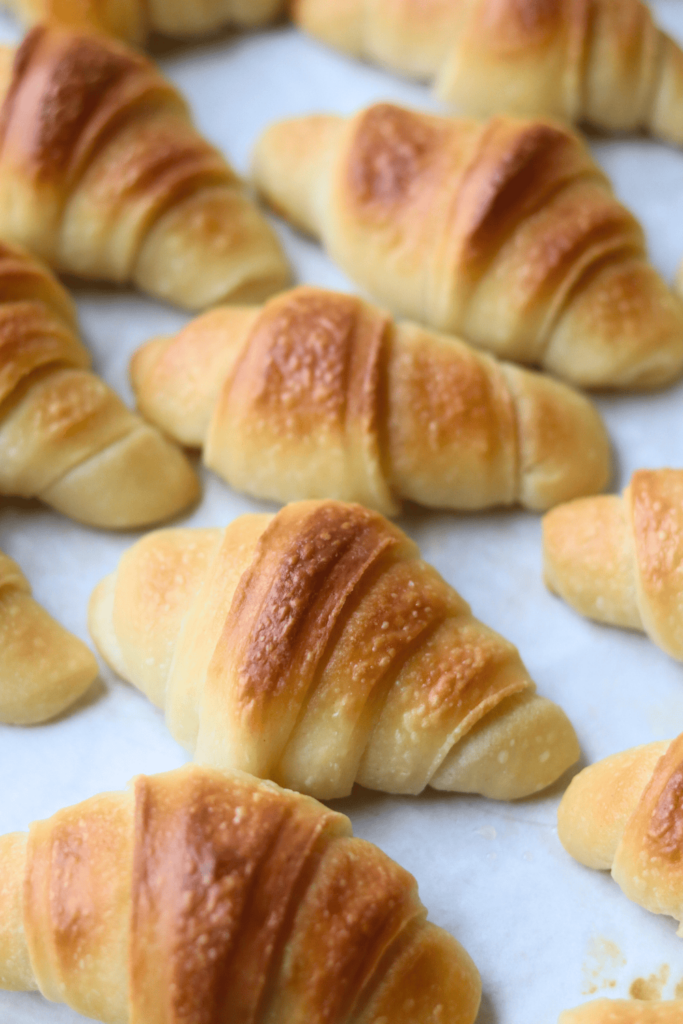 Sourdough Crescent Rolls