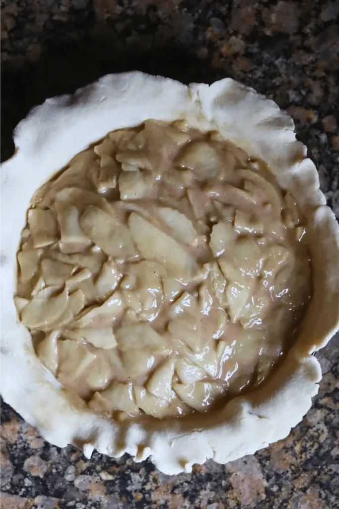 In a large bowl, combine the sliced apples, sugars, cinnamon, nutmeg, lemon juice, and sourdough discard. Mix until everything is thoroughly combined.