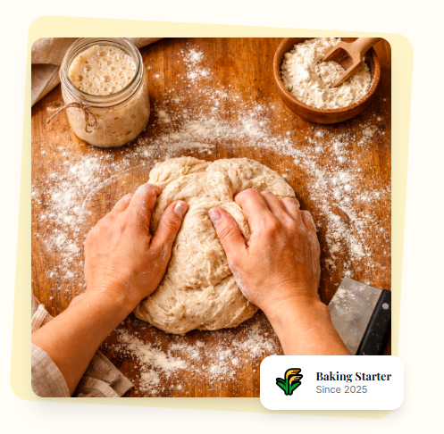 Baking starter