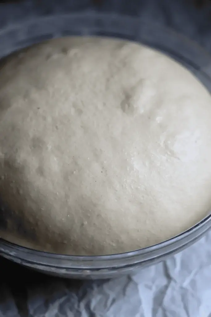 Step 5: Put a reusable shower cap over the bowl and set the dough in a warm spot to let it double in size.